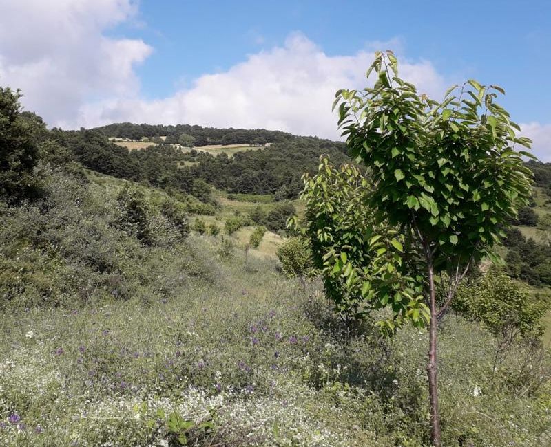 Bursa'da Satılık Arsa